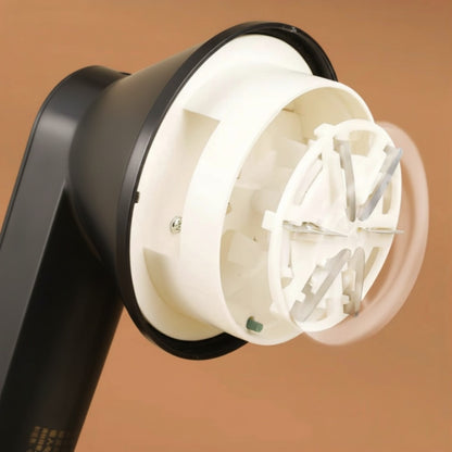 Electric Iint Remover